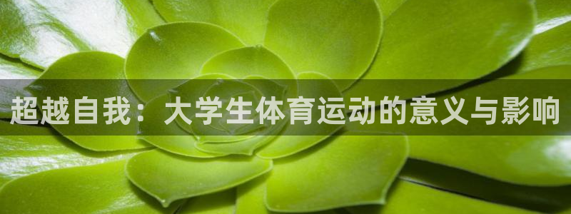 沐鸣2平台官网