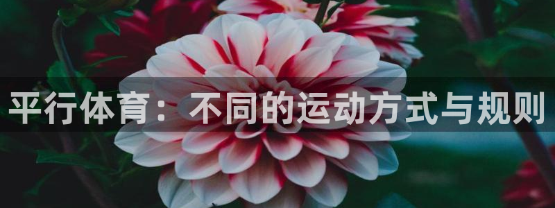 沐鸣2官方登录