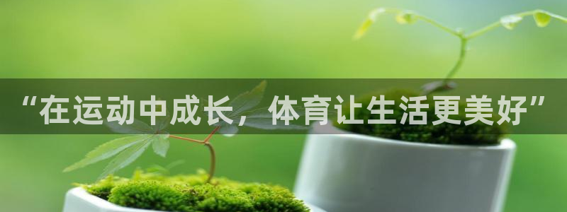 沐鸣2体育注册