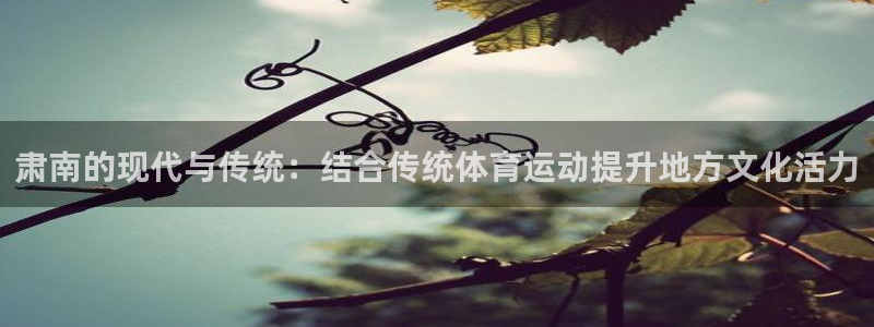 沐鸣24