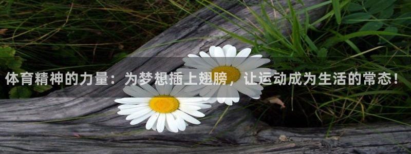 沐鸣2登录测速