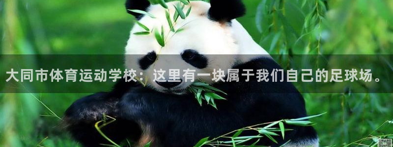 沐鸣平台官网入口