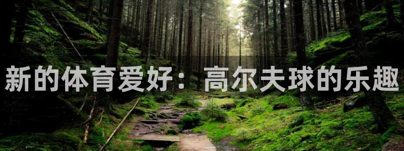 沐鸣2手机网页版