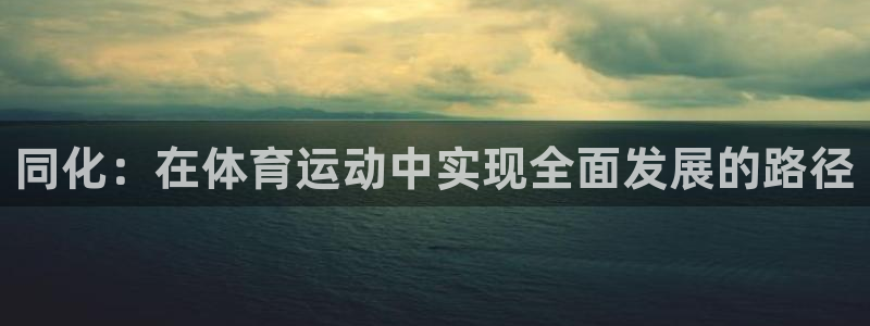 沐鸣2代理