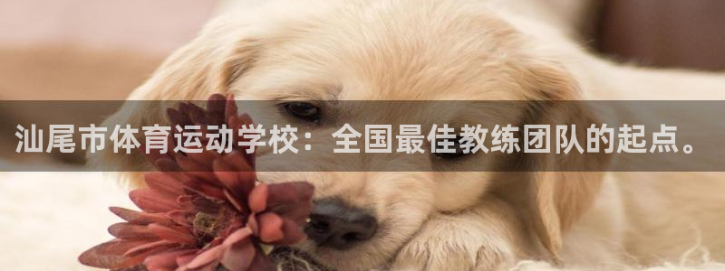 沐鸣2股份