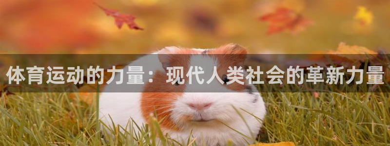 沐鸣2f平台注册