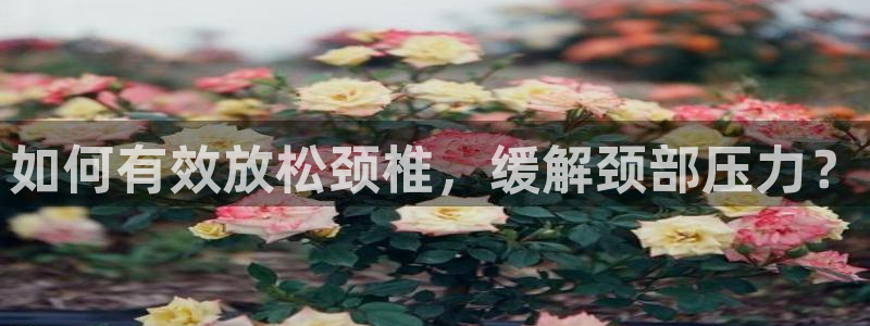 沐鸣2体育官网登录