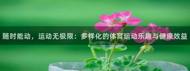 ii博导登录入口