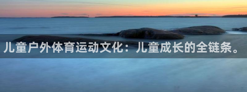上海沐鸣2汽车电子有限公司